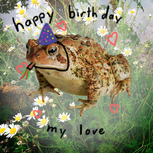 A Toad Wishing you a happy birthday